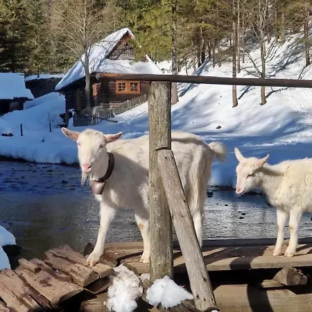 Oasis - Luxury Retreat At Kvacianska Dolina