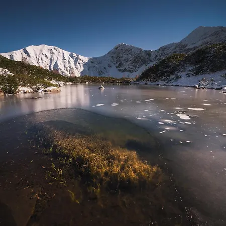 Oasis - Luxury Retreat At Kvacianska Dolina